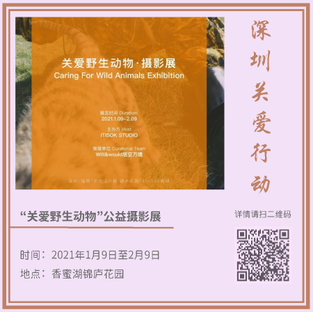 4.藝術(shù)新年_頁面_02.png